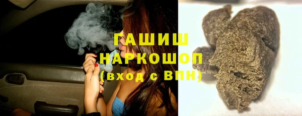 хмурый Алексин