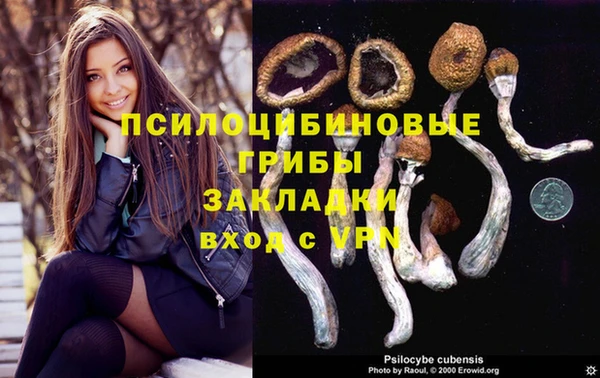 первитин Алексеевка