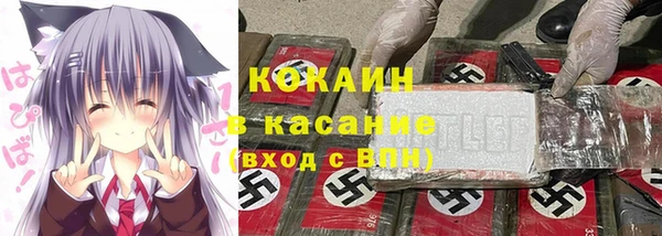 гашик Алзамай