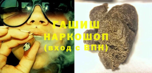 хмурый Алексин