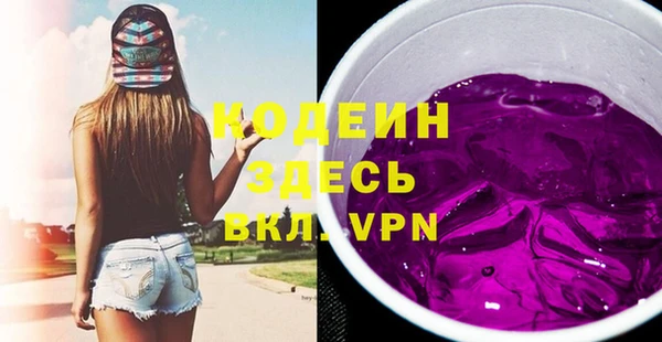 хмурый Алексин