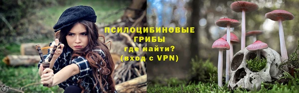 гашик Алзамай