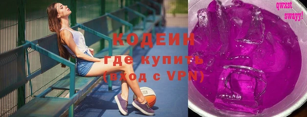 хмурый Алексин