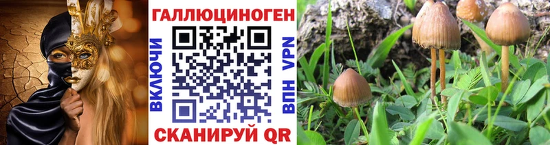 Галлюциногенные грибы прущие грибы  Ельня 