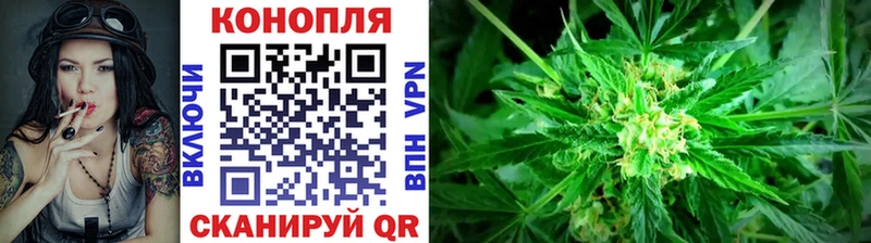 Бошки марихуана SATIVA & INDICA  сколько стоит  MEGA сайт  Ельня 